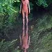 Gormley 2