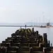 Gormley 6