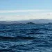 Choppy