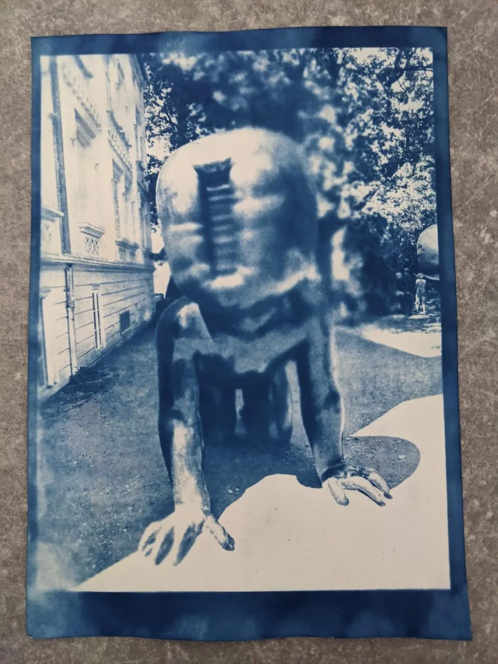 Cyanotype Attempt #1